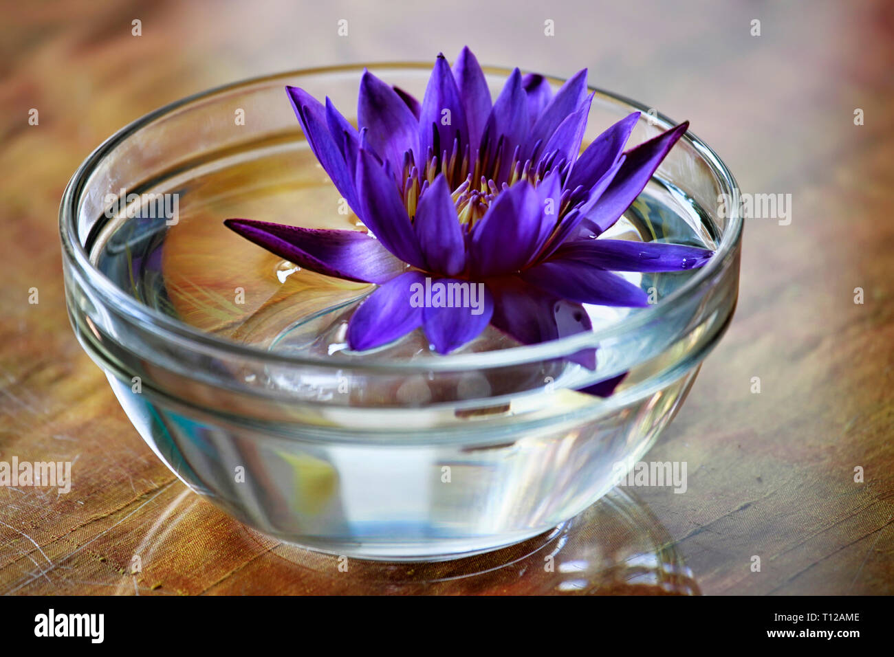 Flores de Loto en un vaso de agua utilizado para decorar la mesa Fotografía  de stock - Alamy