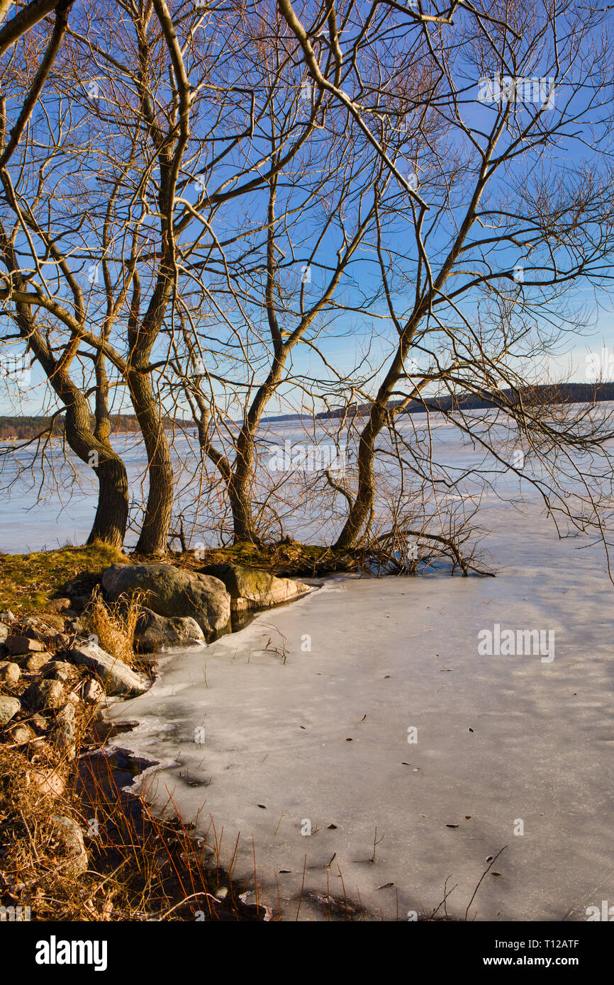 La naturaleza de la escena de invierno, el lago Mälaren, Suecia, Escandinavia Foto de stock