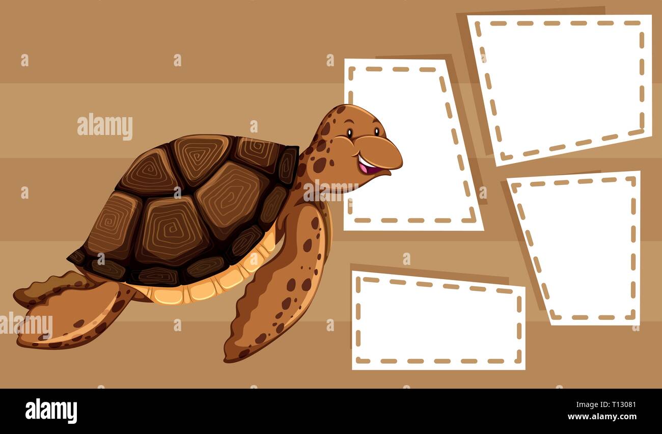 Marco de tortuga fotografías e imágenes de alta resolución - Página 6 -  Alamy