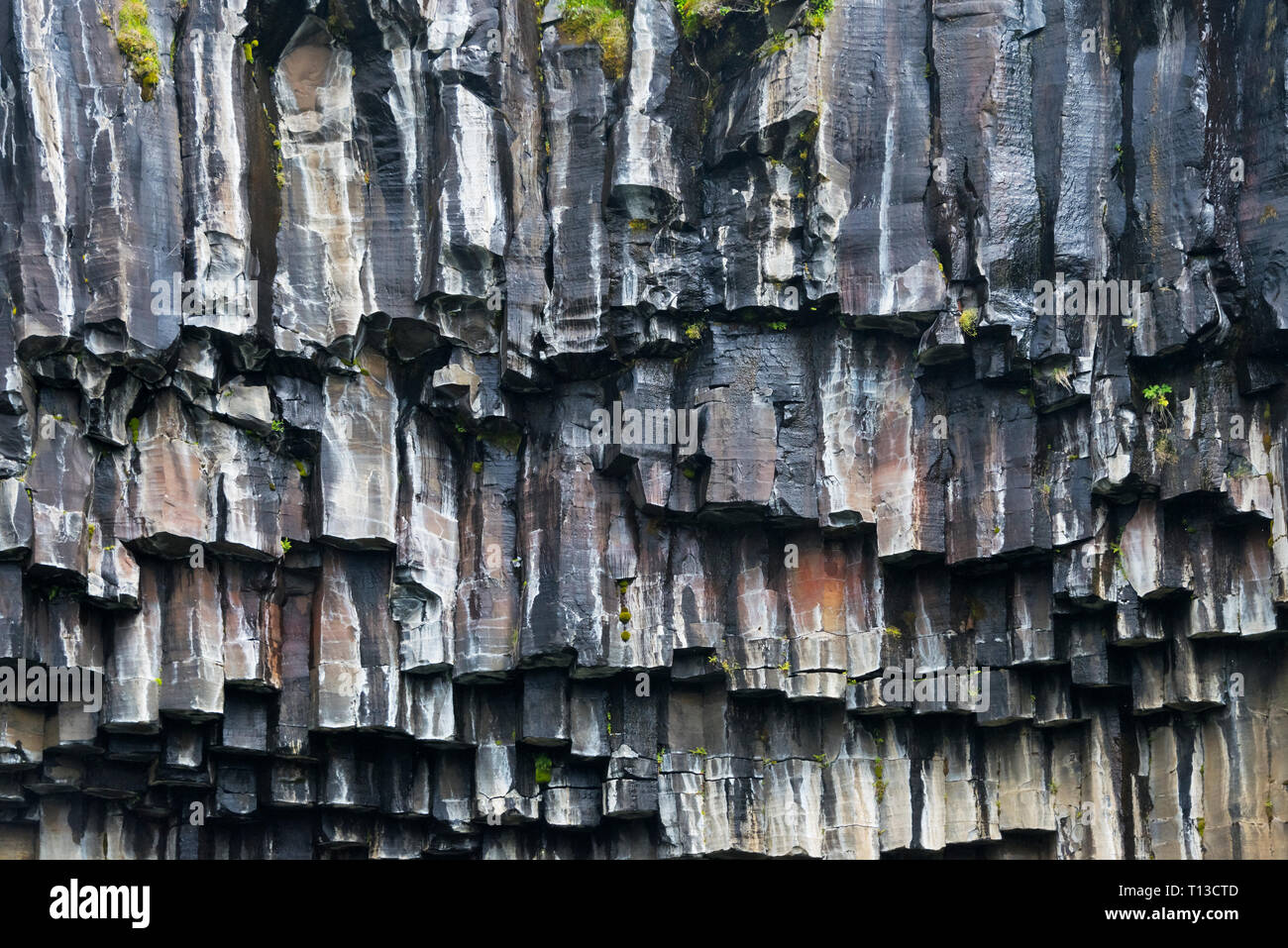 Columnas de basalto que rodean Svartifoss Skaftafell, Cascada, Parque Nacional Vatnajokull, Islandia Foto de stock