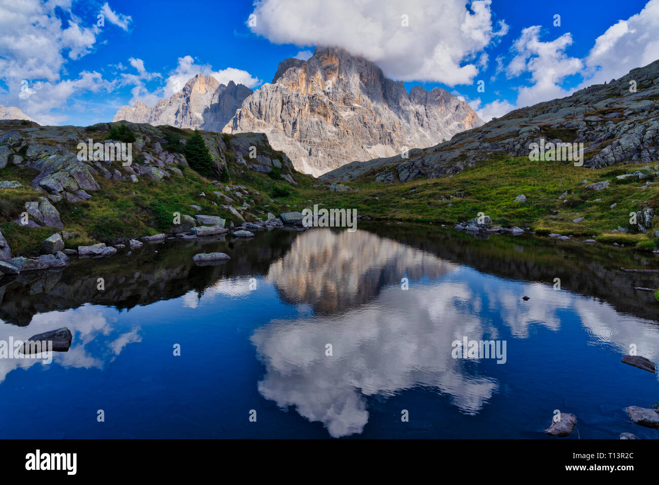 Italia, Veneto, dolomitas, Fiemme Montañas, Cimon della Pala, reflejado en un pequeño lago Foto de stock