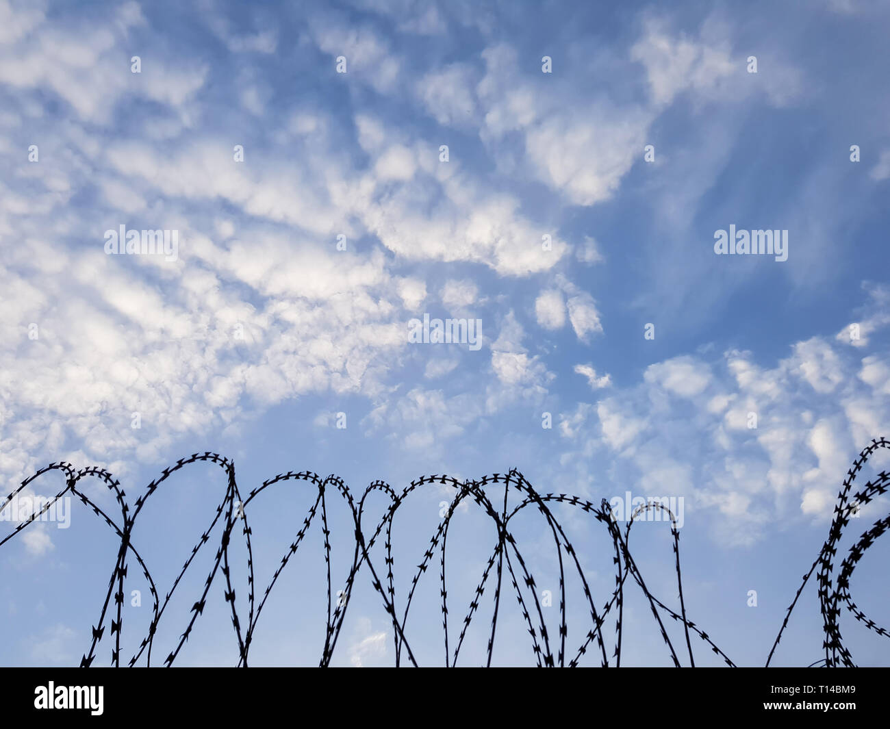 Bobinas de alambre de afeitar en una valla de seguridad. Instalaciones de alta seguridad o área restringida. Concepto de prisión, encarcelamiento o detención - muro fronterizo. Foto de stock