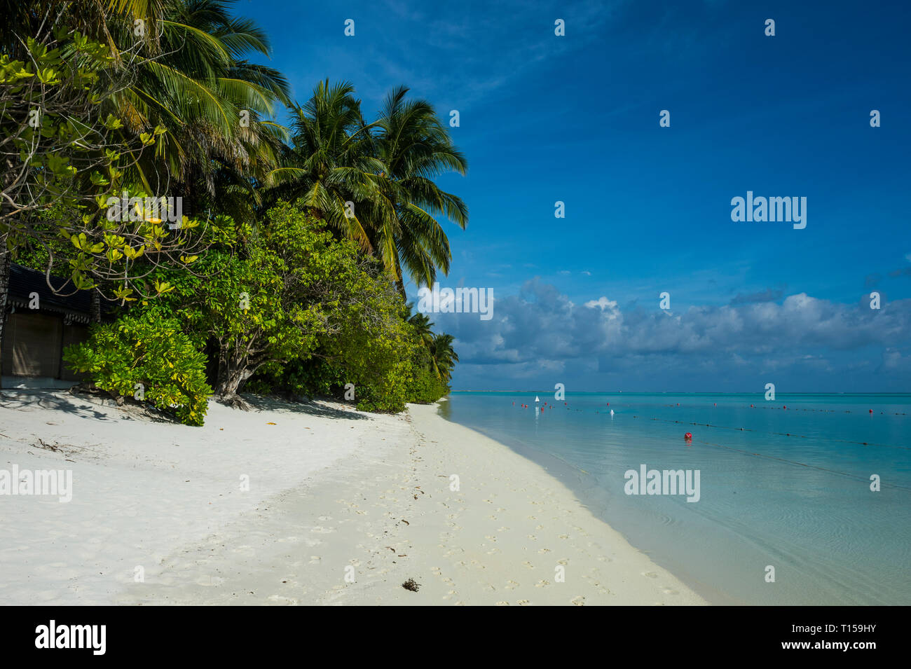 Maledives, Ari Atoll, Nalaguraidhoo, Isla del Sol, la playa y la vegetación Foto de stock