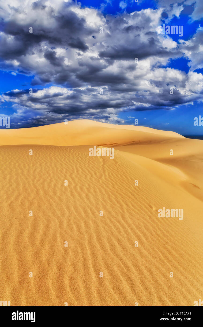 Árido desierto de dunas de arena en un caluroso día de sol bajo un cielo azul con nubes tormentosas en Stockton Beach de Australian Pacific coast. Foto de stock