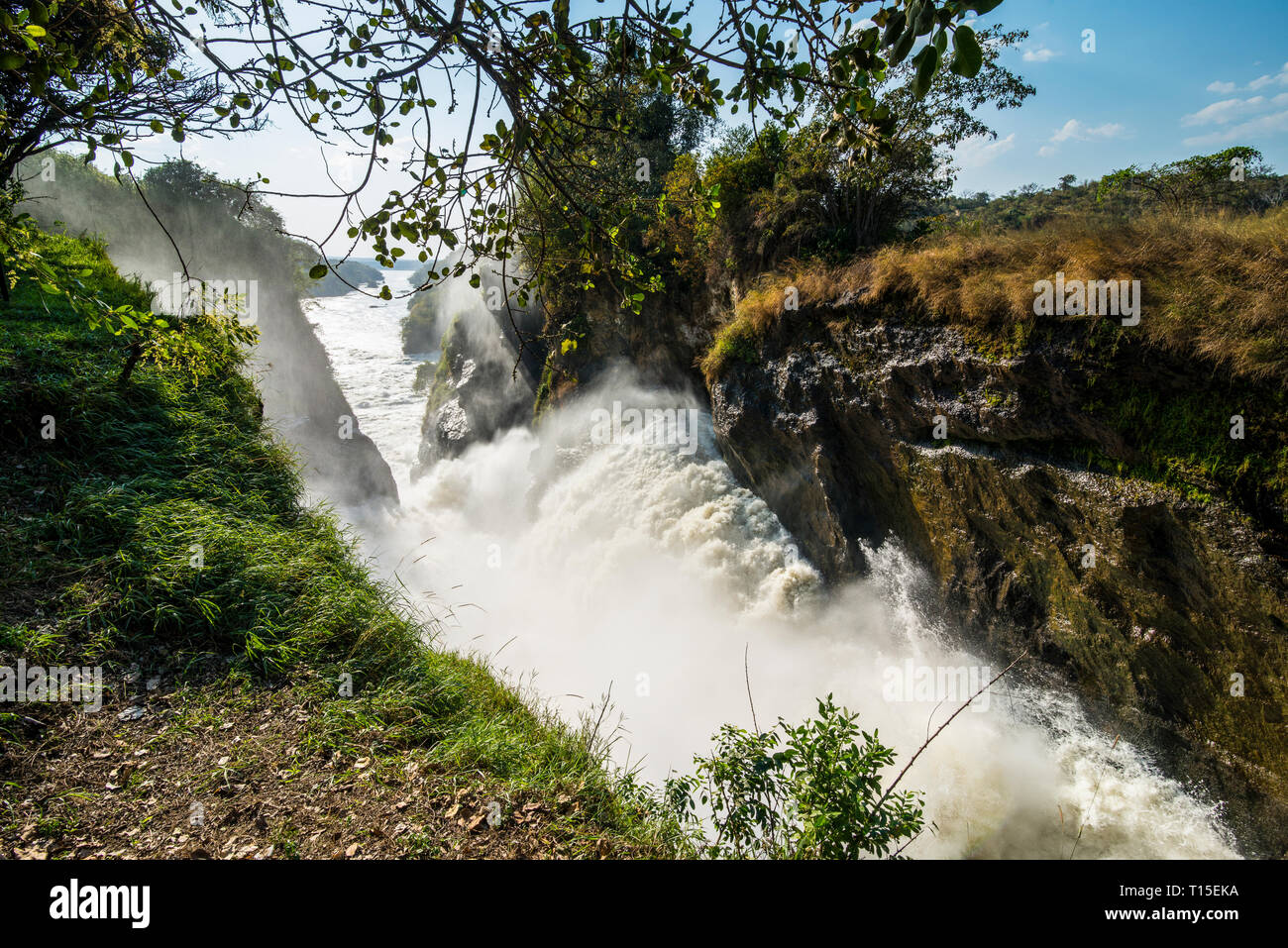 África, Uganda, el Parque Nacional de Murchison Falls, Murchison Falls Foto de stock