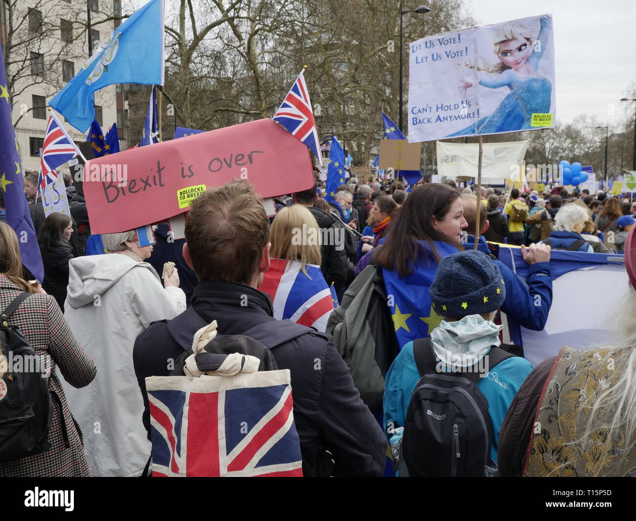 Londres, Inglaterra. 23 de marzo, 2019. Miles de personas marchan a Westminster para exigir un segundo referéndum sobre la conveniencia o no de que Gran Bretaña debería abandonar la Unión Europea. Crédito: Anna Stowe/Alamy Live News Foto de stock