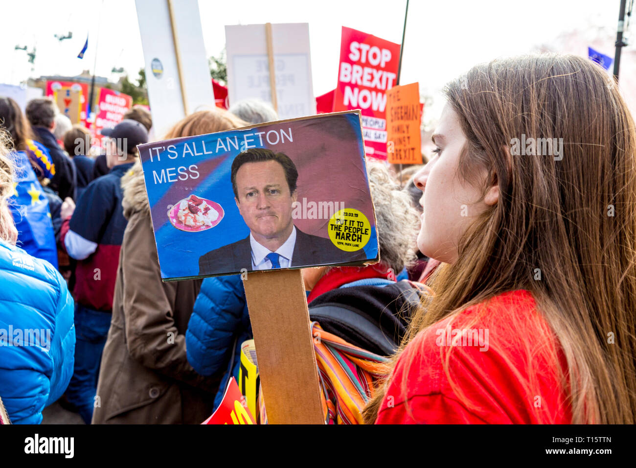 Londres, Reino Unido. El 23 de marzo de 2019. Más de un millón de personas marchan por el voto popular, para un segundo referéndum sobre Brexit, mujer sosteniendo un cartel con David Cameron diciendo "Es todo un Eton mess" crédito: Nathaniel Noir/Alamy Live News Foto de stock