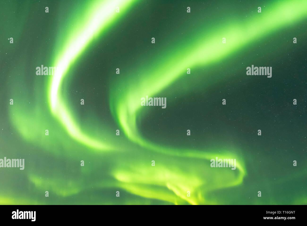 Aurora Borealis en Chena lagos en Alaska Foto de stock