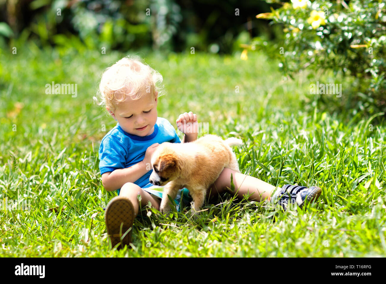 Los niños juegan con poco lindo perrito. Los niños y bebés perros jugando  en el soleado jardín de verano. Niña la celebración de cachorros. Niño con  perro mascota. Familia y p Fotografía