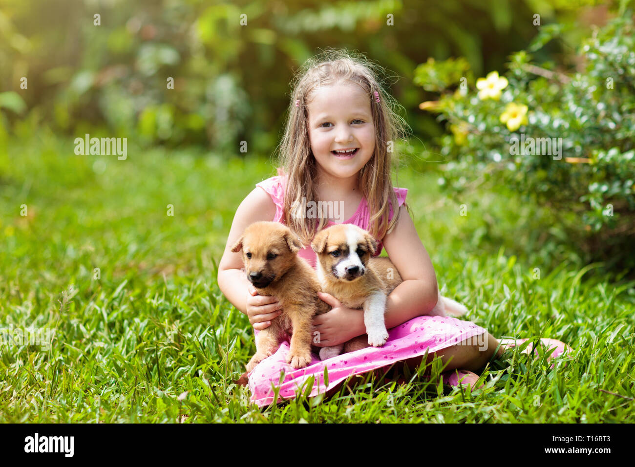 Los niños juegan con poco lindo perrito. Los niños y bebés perros jugando  en el soleado jardín de verano. Niña la celebración de cachorros. Niño con  perro mascota. Familia y p Fotografía