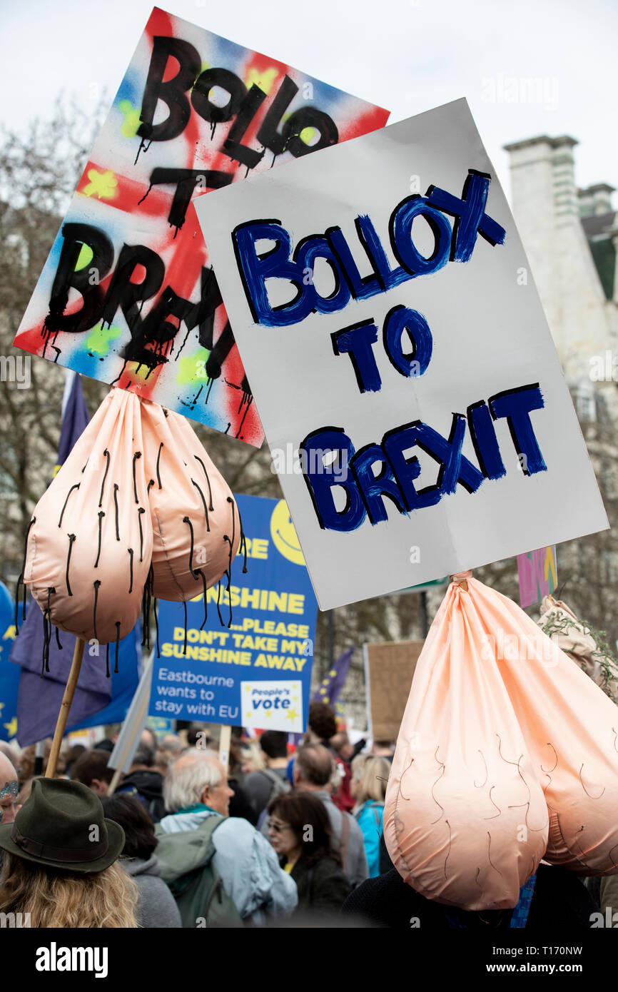 A Brexit Bollox pancartas en el voto popular de marzo, Londres, Inglaterra Foto de stock
