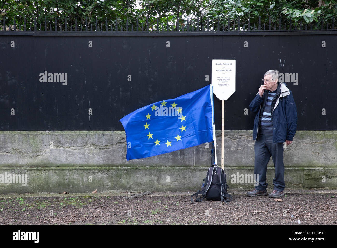 Hombre de pie con la bandera de la UE, el voto popular de marzo, Londres, Inglaterra Foto de stock