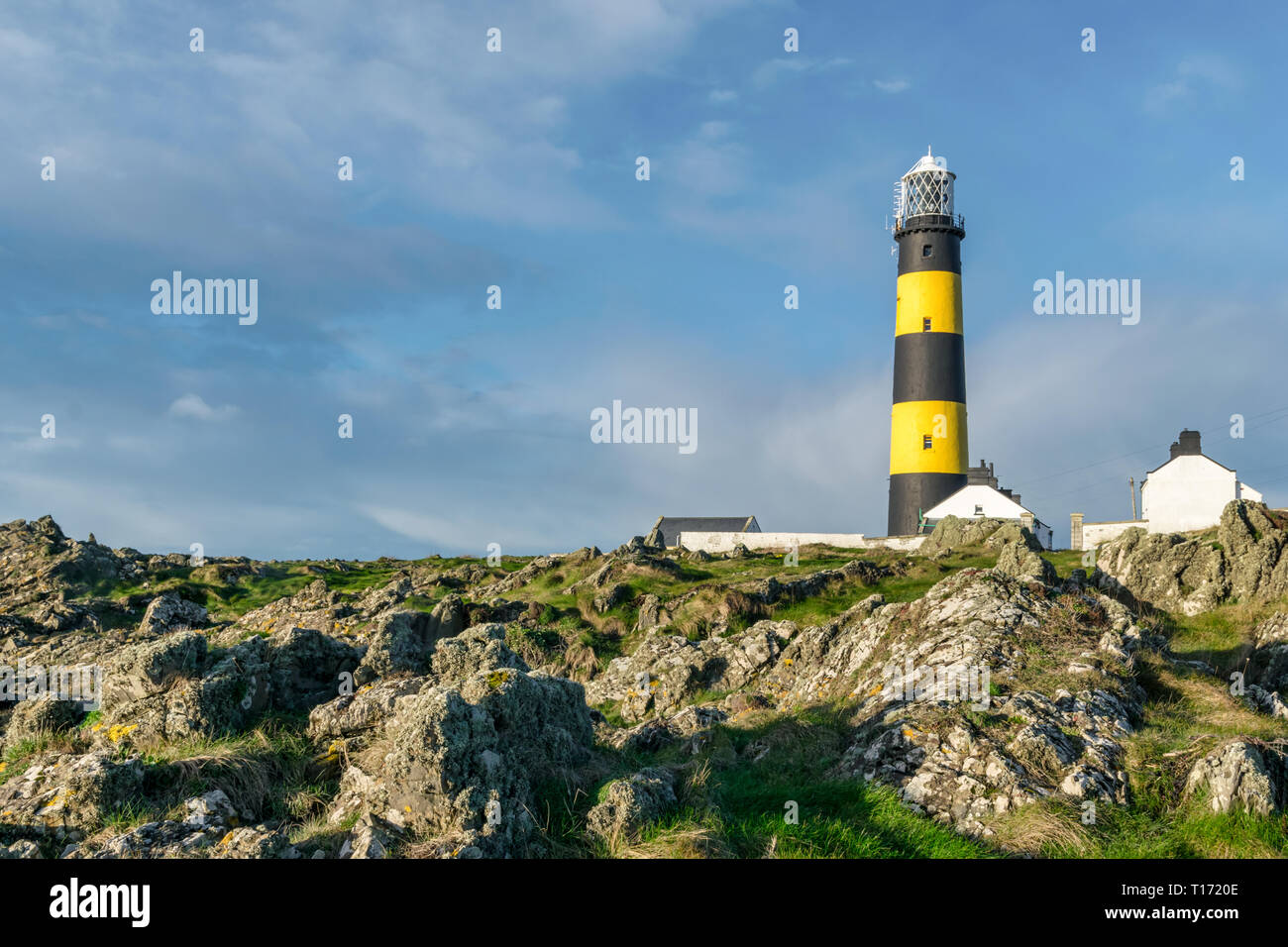 Esta es una imagen de St John's Point faro en la costa oriental de Irlanda del Norte en el Mar de Irlanda. Es uno de Irelands muchos costeros icónico li Foto de stock