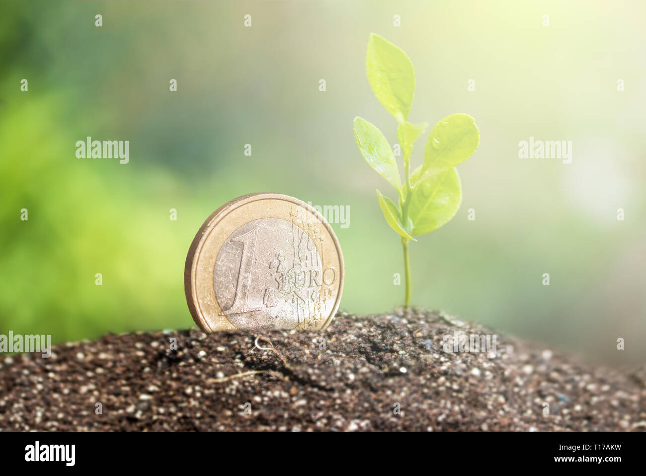 Moneda con la planta que crecen en la parte superior para el negocio, el ahorro, el crecimiento, el concepto económico. Foto de stock