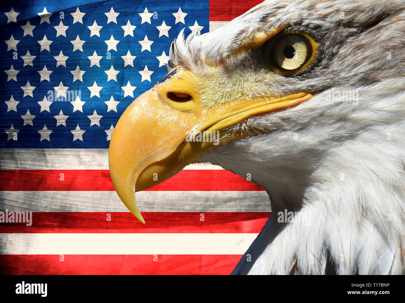 Símbolo closeup retrato de águila sobre usa o rayas y estrellas de la  bandera estadounidense Fotografía de stock - Alamy