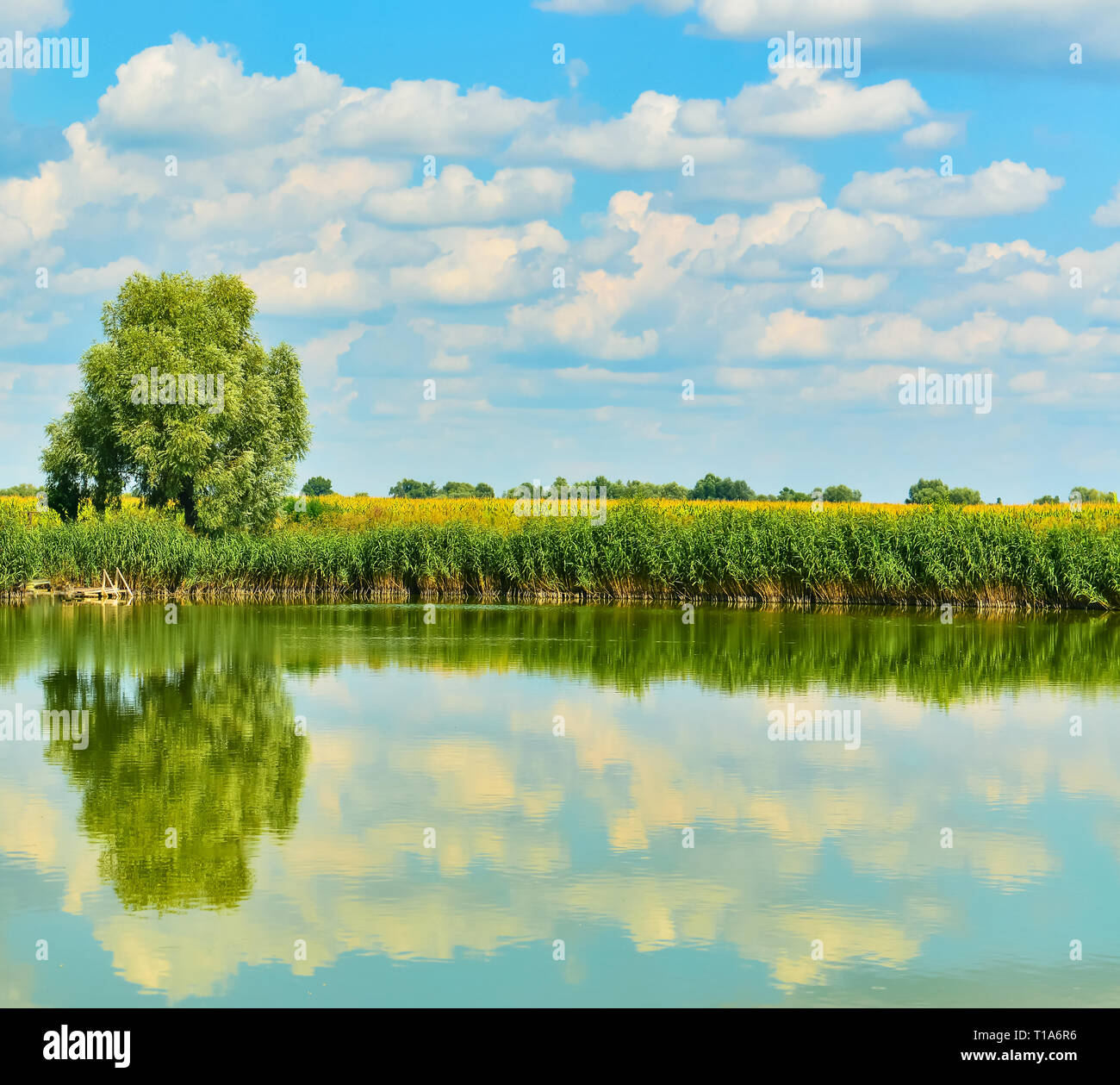 El pintoresco lago en el verano del país. .Vista del estanque con hermosas nubes de verano. Foto de stock