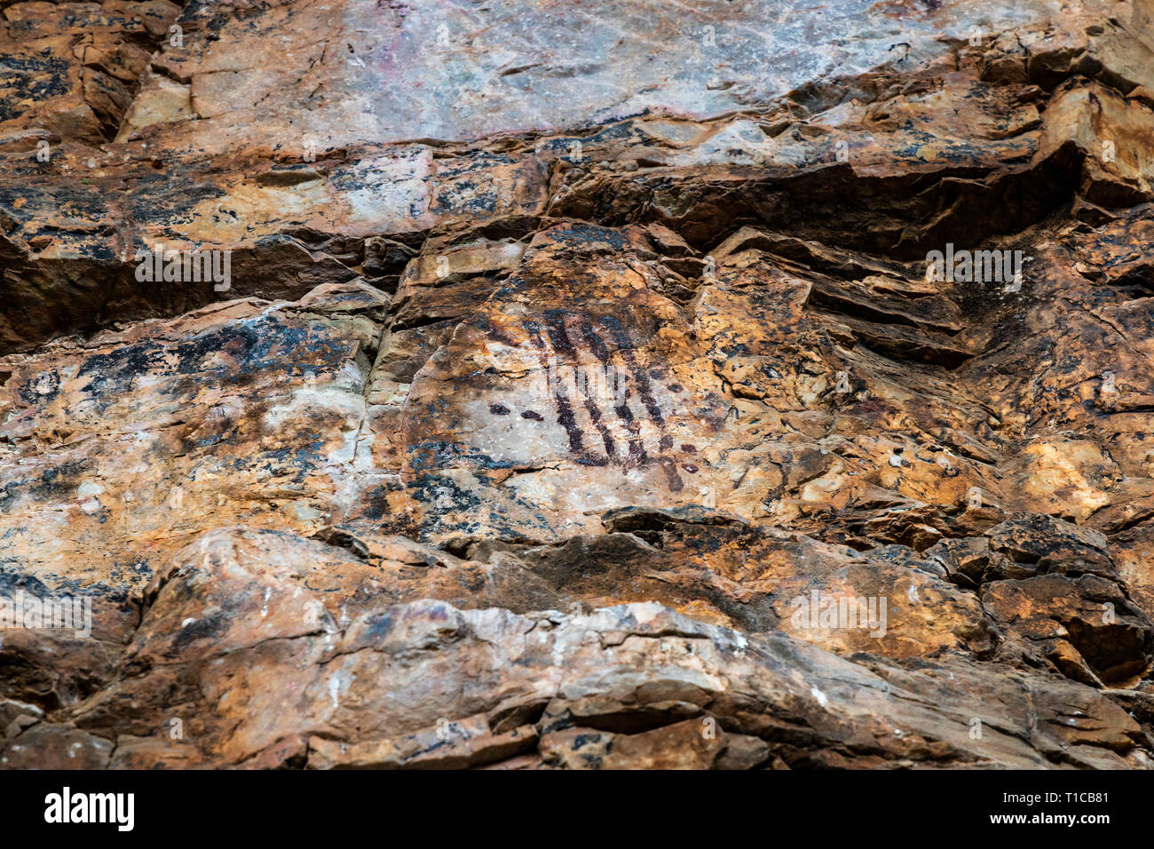 Las pinturas rupestres. Fotografiado en una cueva conocida como cueva Chiquita en el Parque Natural de las Villuercas. Cañamero. Extremadura. España. Foto de stock