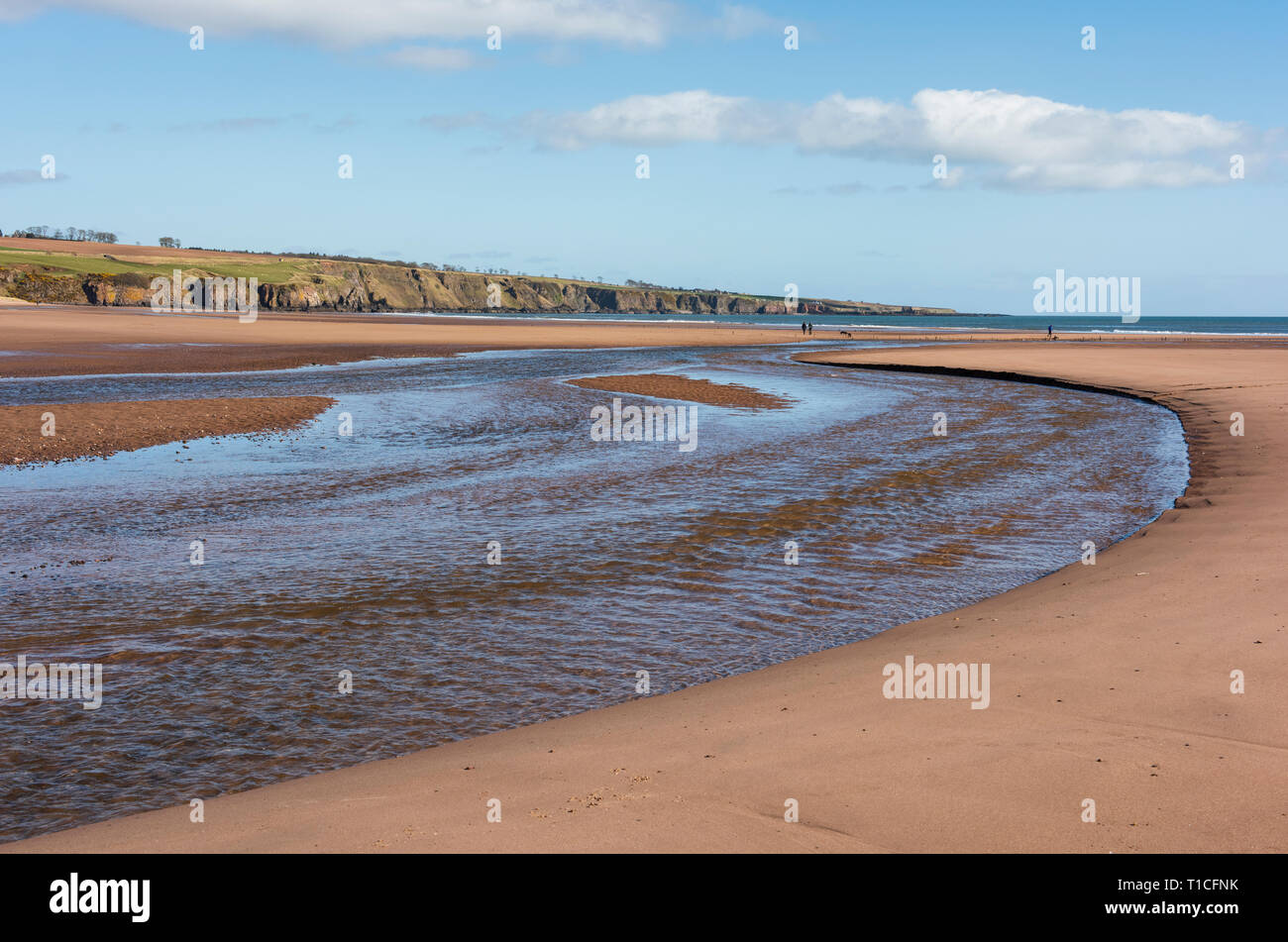 Lunan Bay beach, Angus, Escocia. Foto de stock