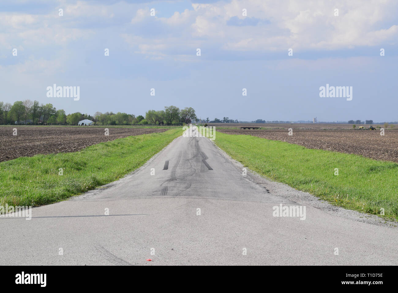 Camino que corre entre tierras de labranza en el Condado de Douglas, Illinois Foto de stock