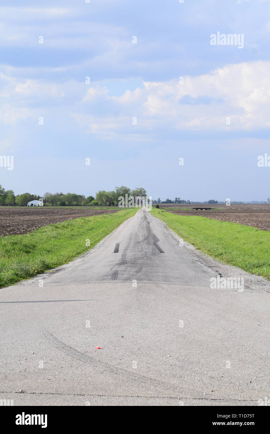 Camino que corre entre tierras de labranza en el Condado de Douglas, Illinois Foto de stock