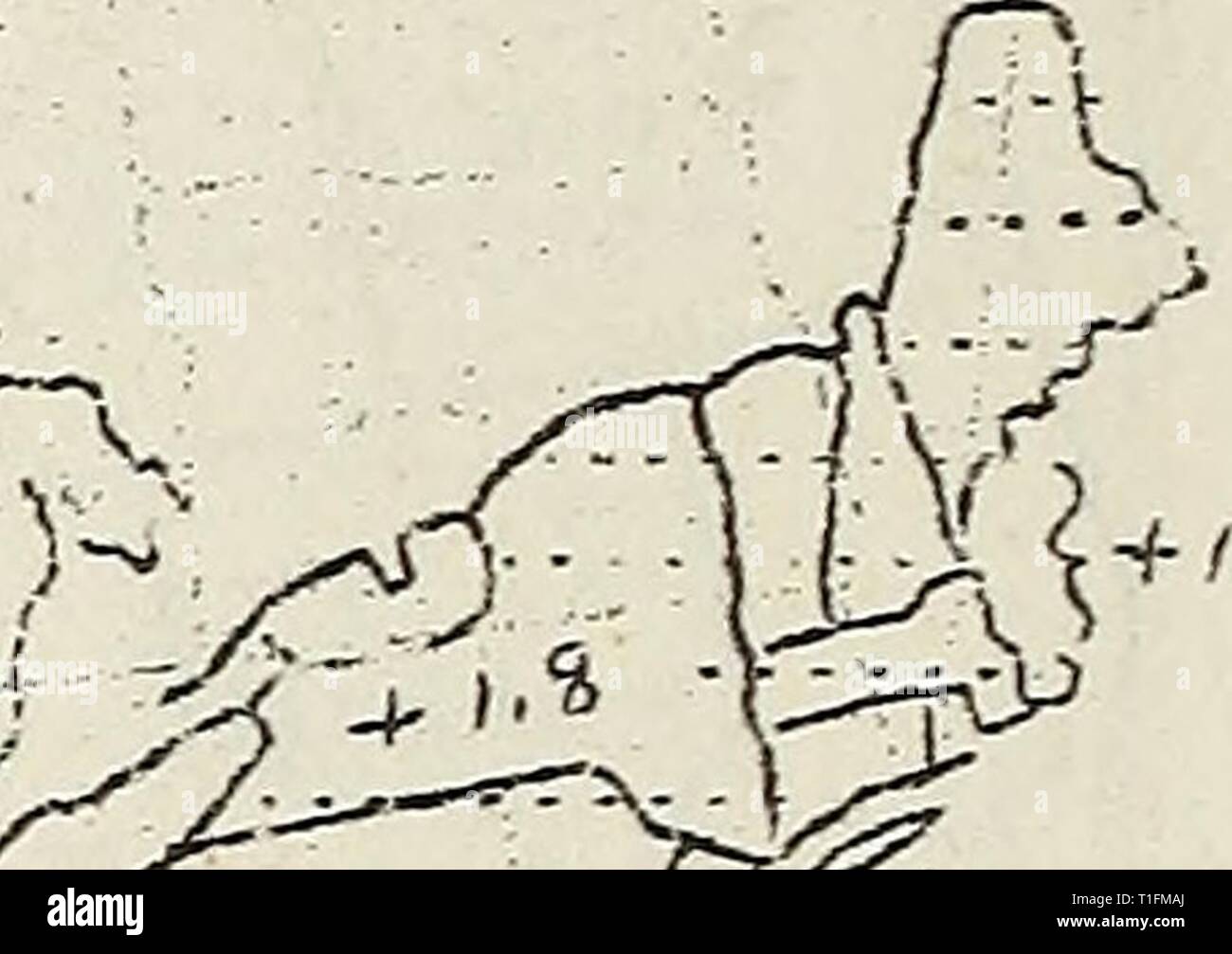 Enfermedades De Las Plantas En Las Enfermedades De Las Plantas En Los Estados Unidos En 1939 Diseasesofplants128nanc Ano 1941 V S Vj Vrh O I T V J 7 R J77ri F Un V J I T O S Jjormal