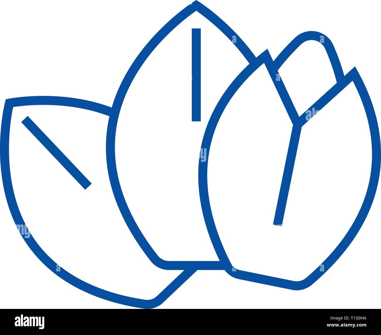 Icono de línea almendra concepto. Almendra vector plana símbolo, signo