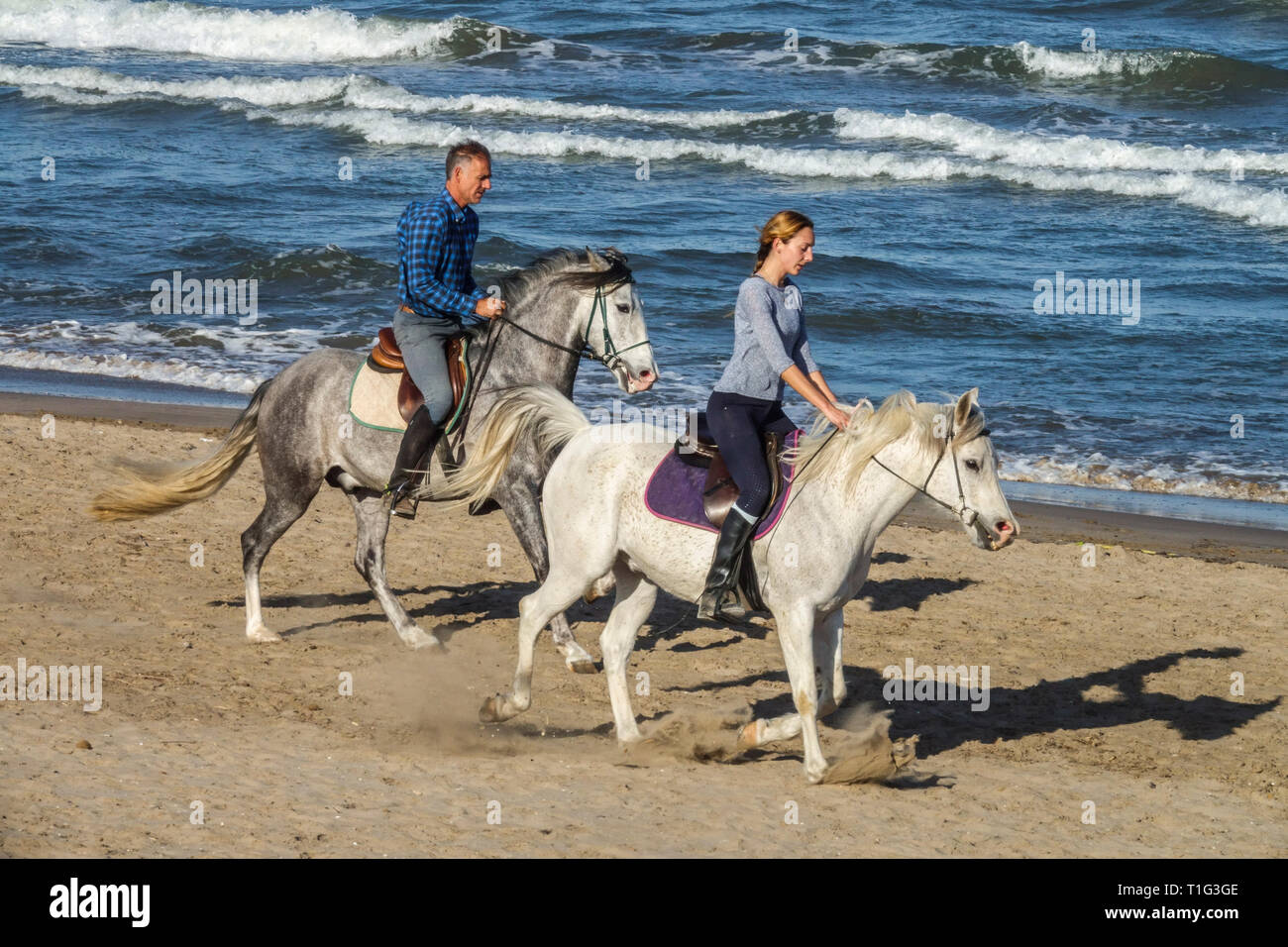 Par montar a caballo en la playa Foto de stock