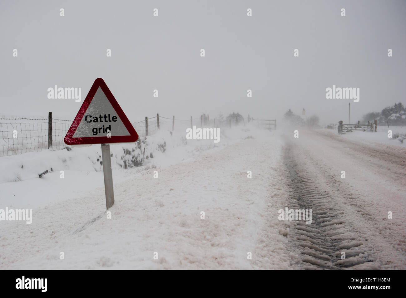 Carretera cubierta de nieve en una ventisca con ganado Grid signo de advertencia en primer plano con copia espacio a la derecha Foto de stock