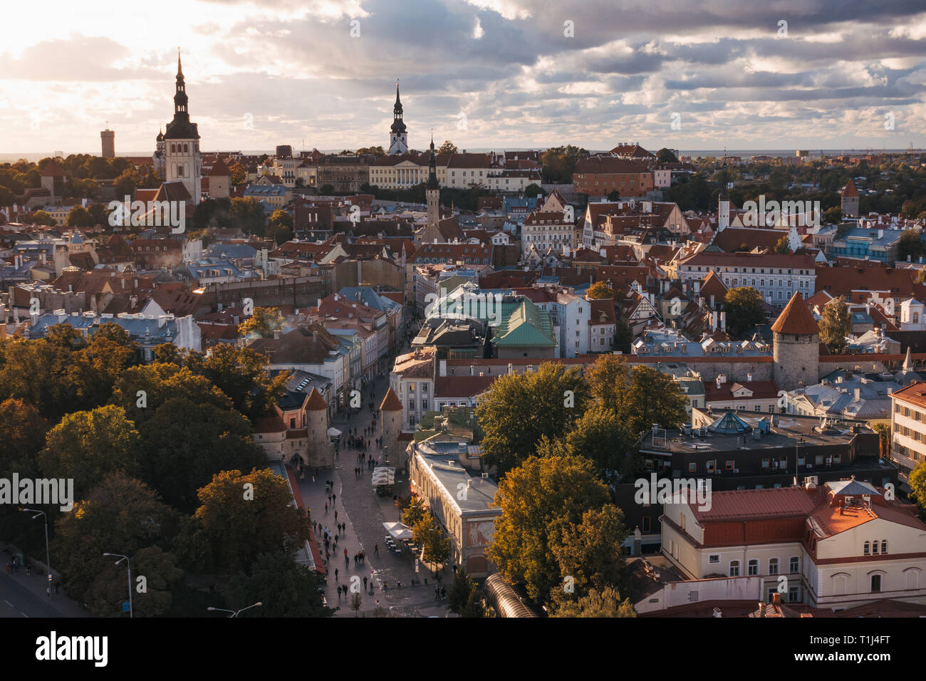 Una vista sobre el casco antiguo de Tallin, Estonia, durante un atardecer de otoño Foto de stock