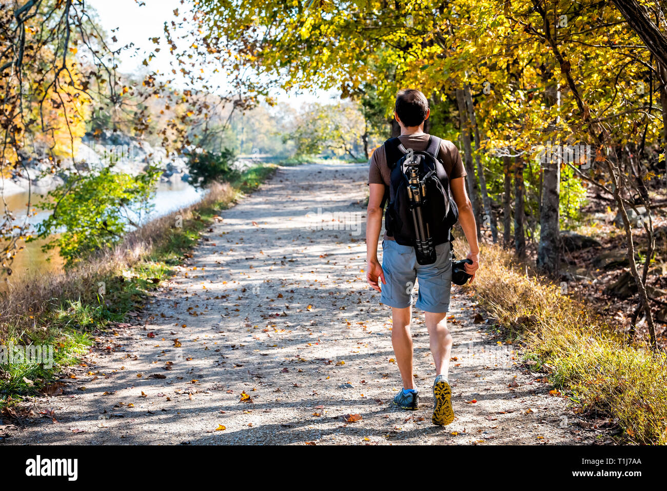 Hombre joven fotógrafo volver caminando por senderos camino trazado durante el otoño río Potomac en Great Falls, en el estado de Maryland, con un colorido follaje y mochila trípode Foto de stock