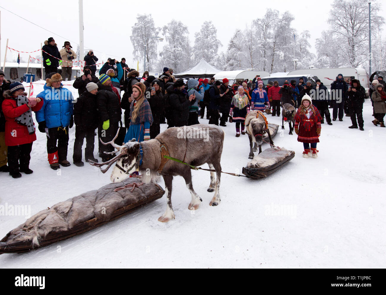 pimienta ignorancia paquete Cultura sami fotografías e imágenes de alta resolución - Página 5 - Alamy
