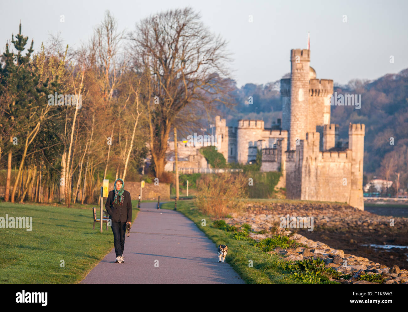 Blackrock, Cork, Irlanda. El 27 de marzo, 2019. Heike Dornig tomar una caminata en la mañana con su perro en el lough Mahon paseo público cerca del castillo de Blackrock, Cork, Irlanda. Crédito: David Creedon/Alamy Live News Foto de stock