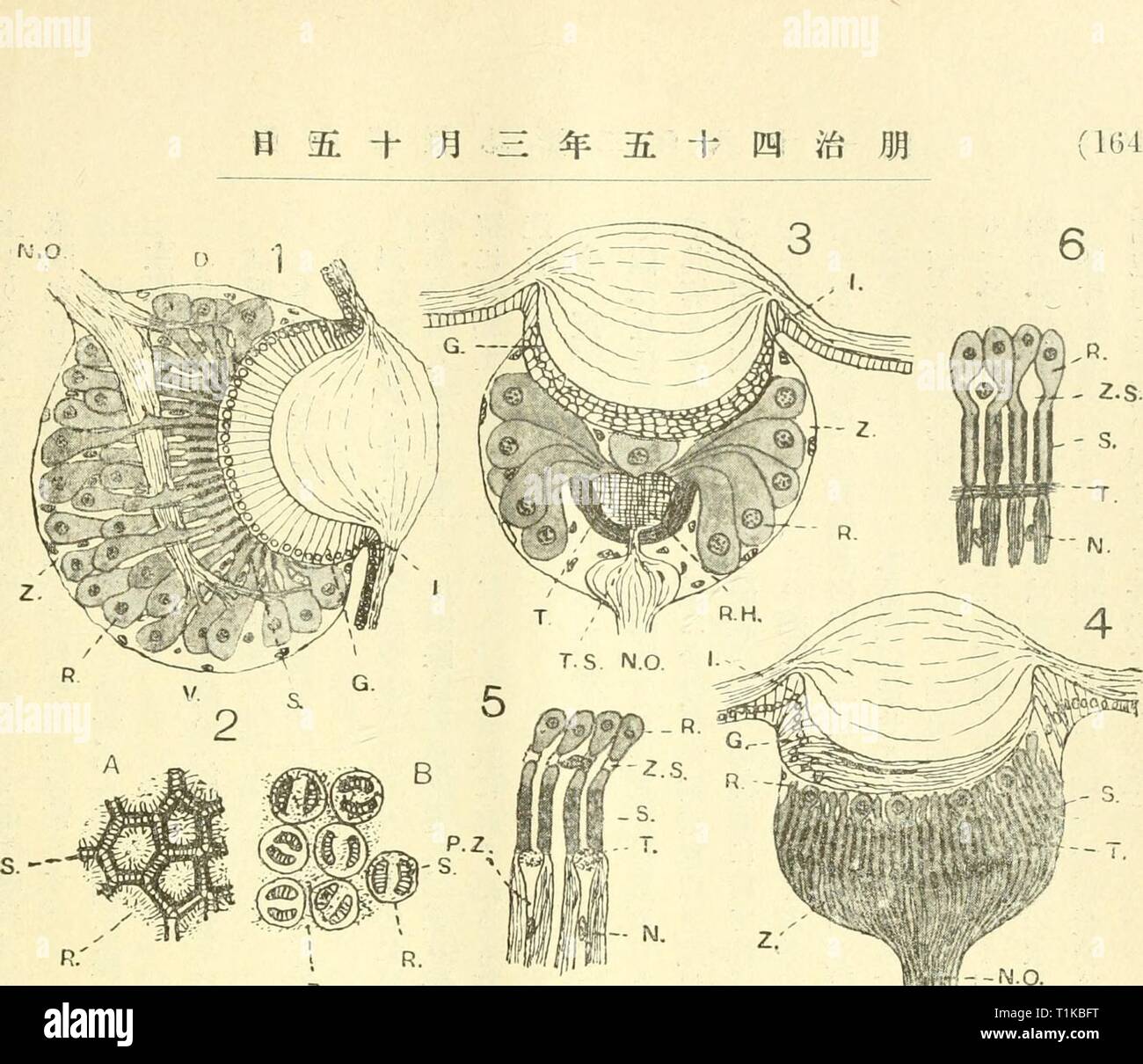 Dobutsugaku Zasshi 1912 Dobutsugaku Zasshi Dobutsugakuzassh24niho Ano 1912 Aee Aeea C A Ae E C A At A Ril L Ntrisa e C A C Ae E A C Aºaa A i i A A Atrira Ba c A Ae Ce E A Ae Ae E S C Ac A A A sa C Dobutsugaku Zasshi 1912 Dobutsugaku Zasshi Dobutsugakuzassh24niho Ano 1912 Aee Aeea C A Ae E C A At A Ril L Ntrisa e C A C Ae E A C Aºaa A i i A A Atrira Ba c A Ae Ce E A Ae Ae E S C Ac A A A sa C