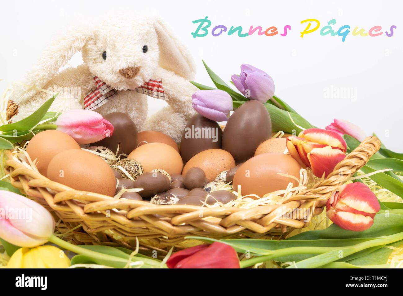 Nominación aislamiento líder Felices Pascuas (Bonnes Pâques es feliz Pascua escrito en francés) del  Conejo de Pascua Fotografía de stock - Alamy