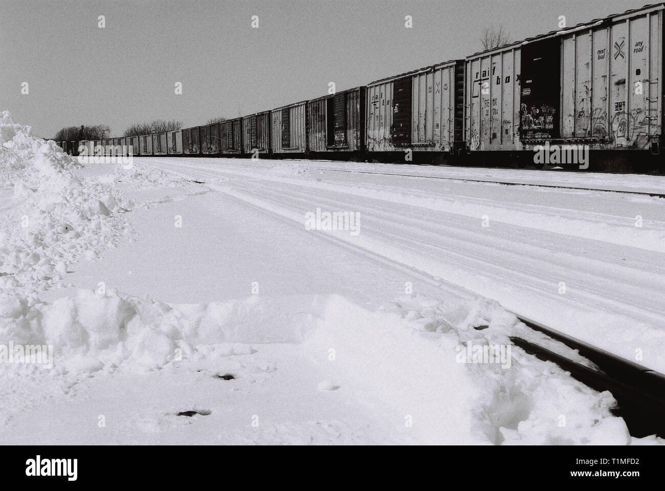 En tren Elginburg, Ontario, Canadá - Alta calidad negativo digitalizado - 35mm - Foto tomada en 2002 Foto de stock