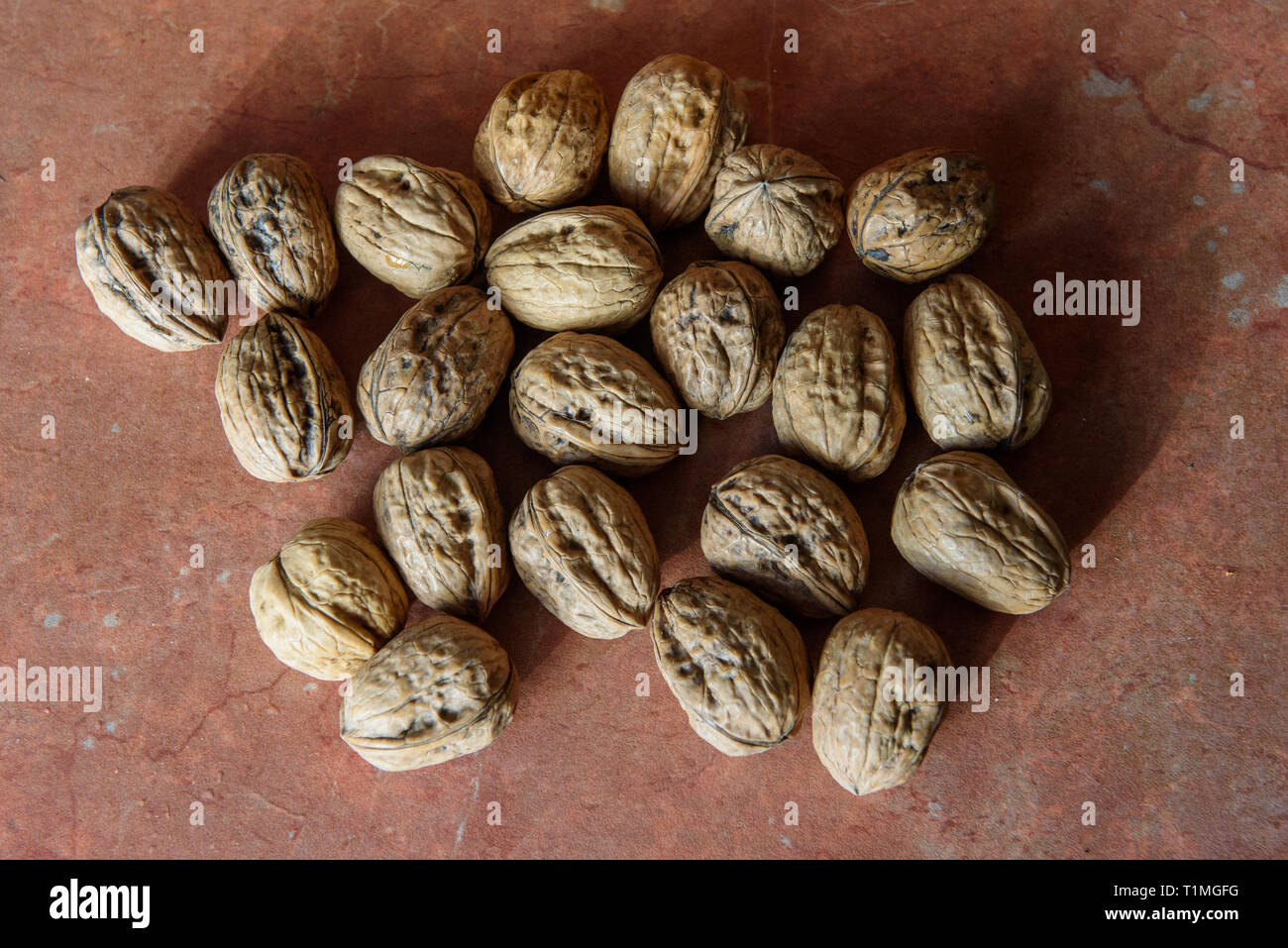 Nueces secas (Juglans) en sus conchas. Contiene una gran cantidad de manganeso, magnesio, fósforo y vitamina B6. Las nueces también contiene otros minerales y Foto de stock