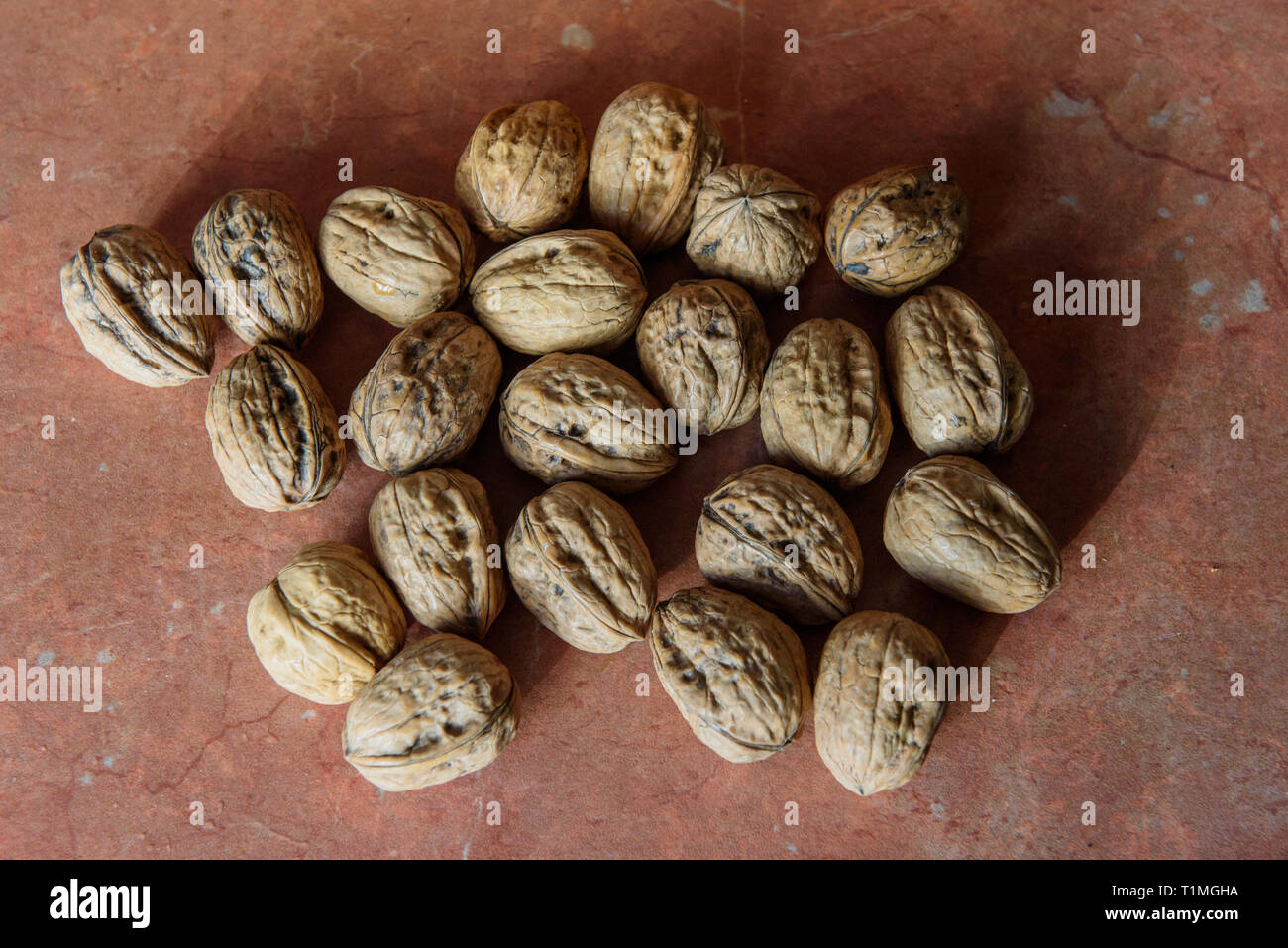 Nueces secas (Juglans) en sus conchas. Contiene una gran cantidad de manganeso, magnesio, fósforo y vitamina B6. Las nueces también contiene otros minerales y Foto de stock