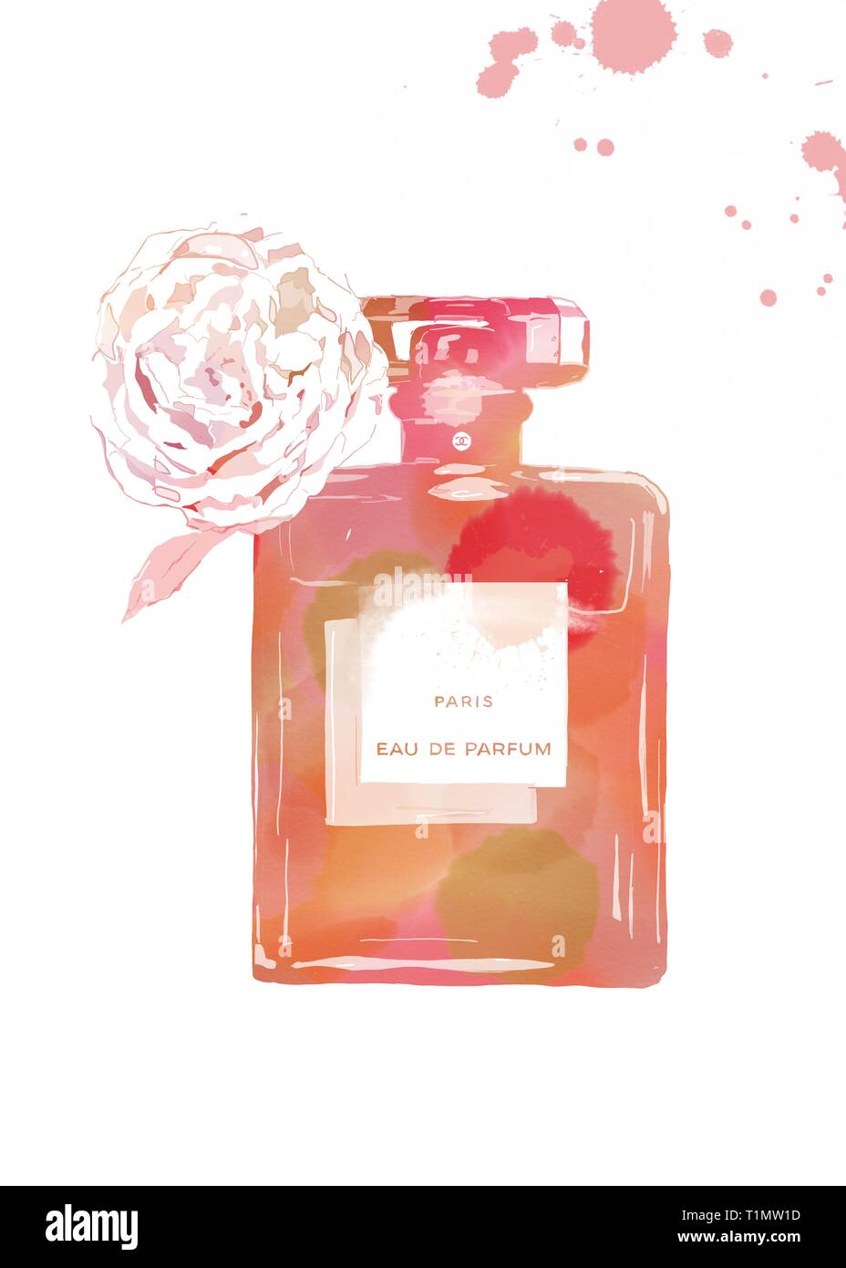 Chanel Nº 5 Ilustracion Chanel Nº 5 Pintura Chanel Nº 5 Acuarela Chanel Nº 5 Imprimir Fotografia De Stock Alamy