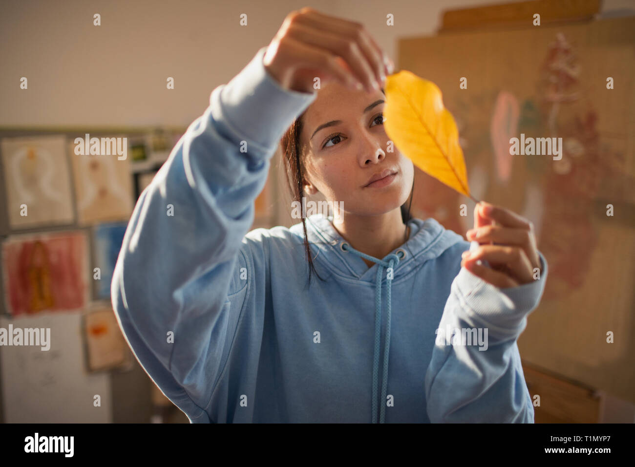 Curioso artista femenina examinar hoja de otoño Foto de stock