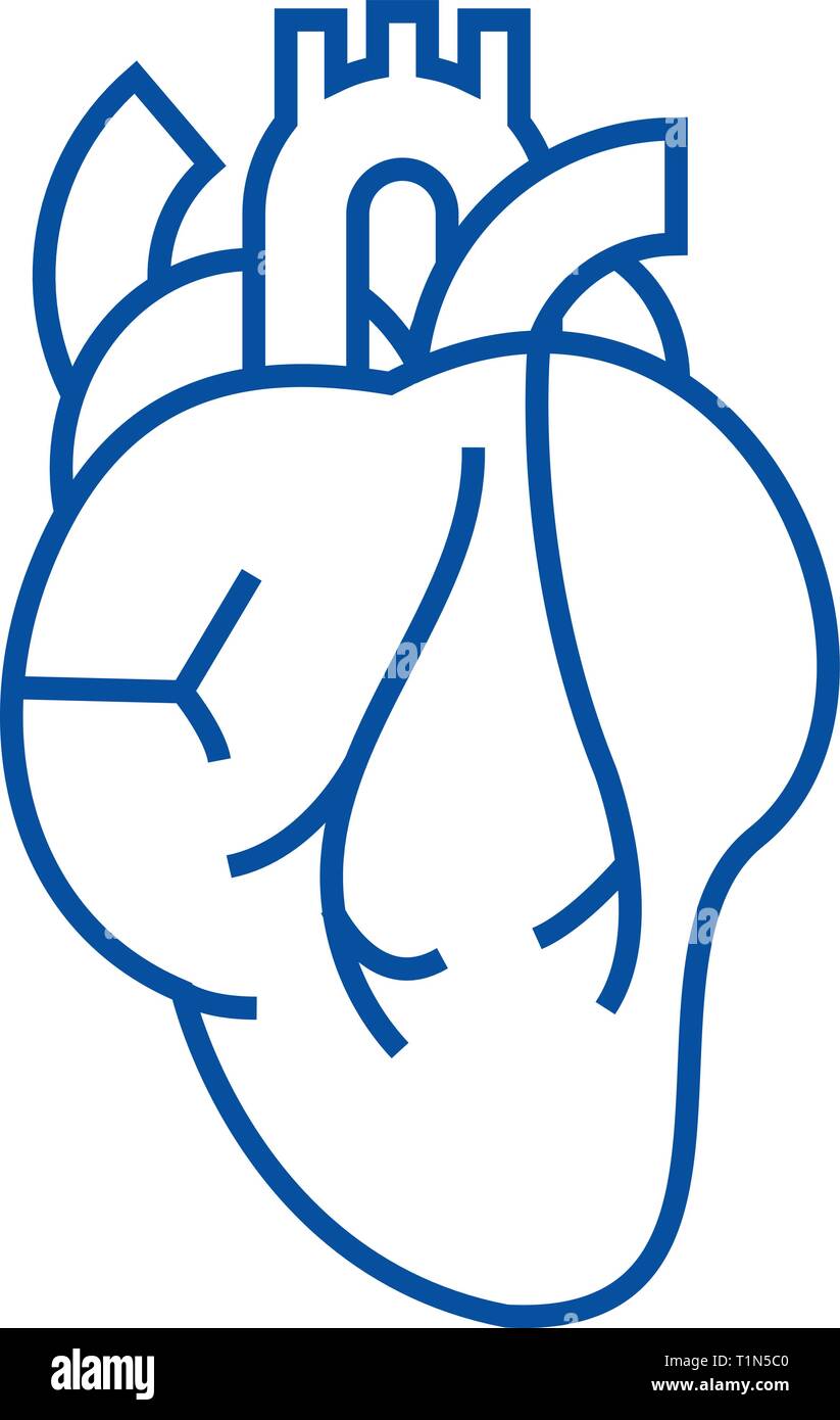 Icono de línea de señal cardiaca concepto. Signo del corazón vector