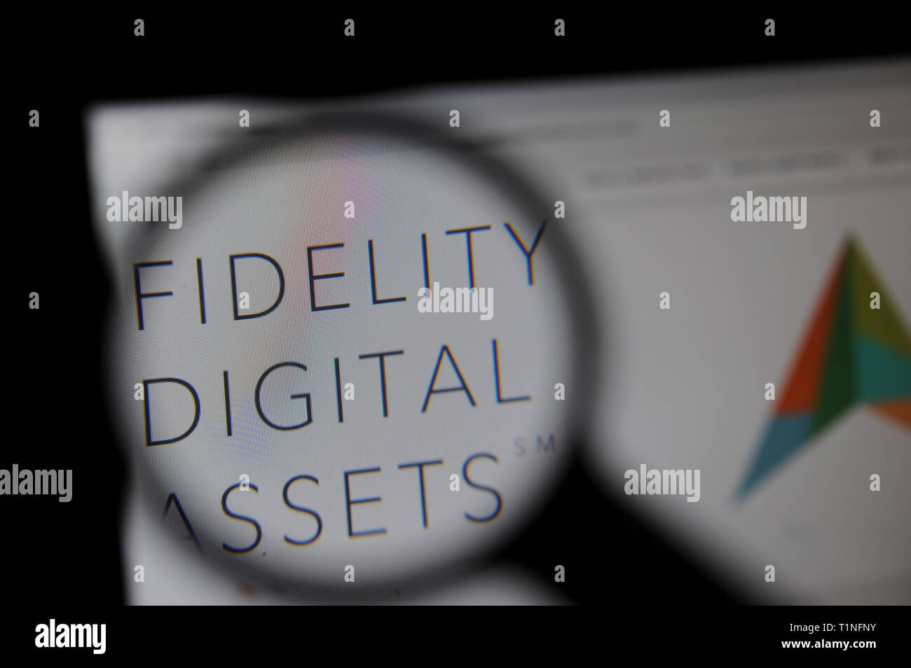 Sitio web de activos digitales de fidelidad Foto de stock