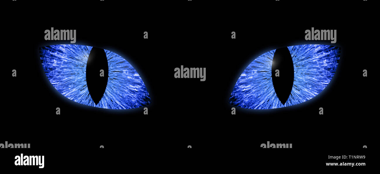 Detalle macro ilustración de dos brillantes ojos azules con pupila vertical Foto de stock