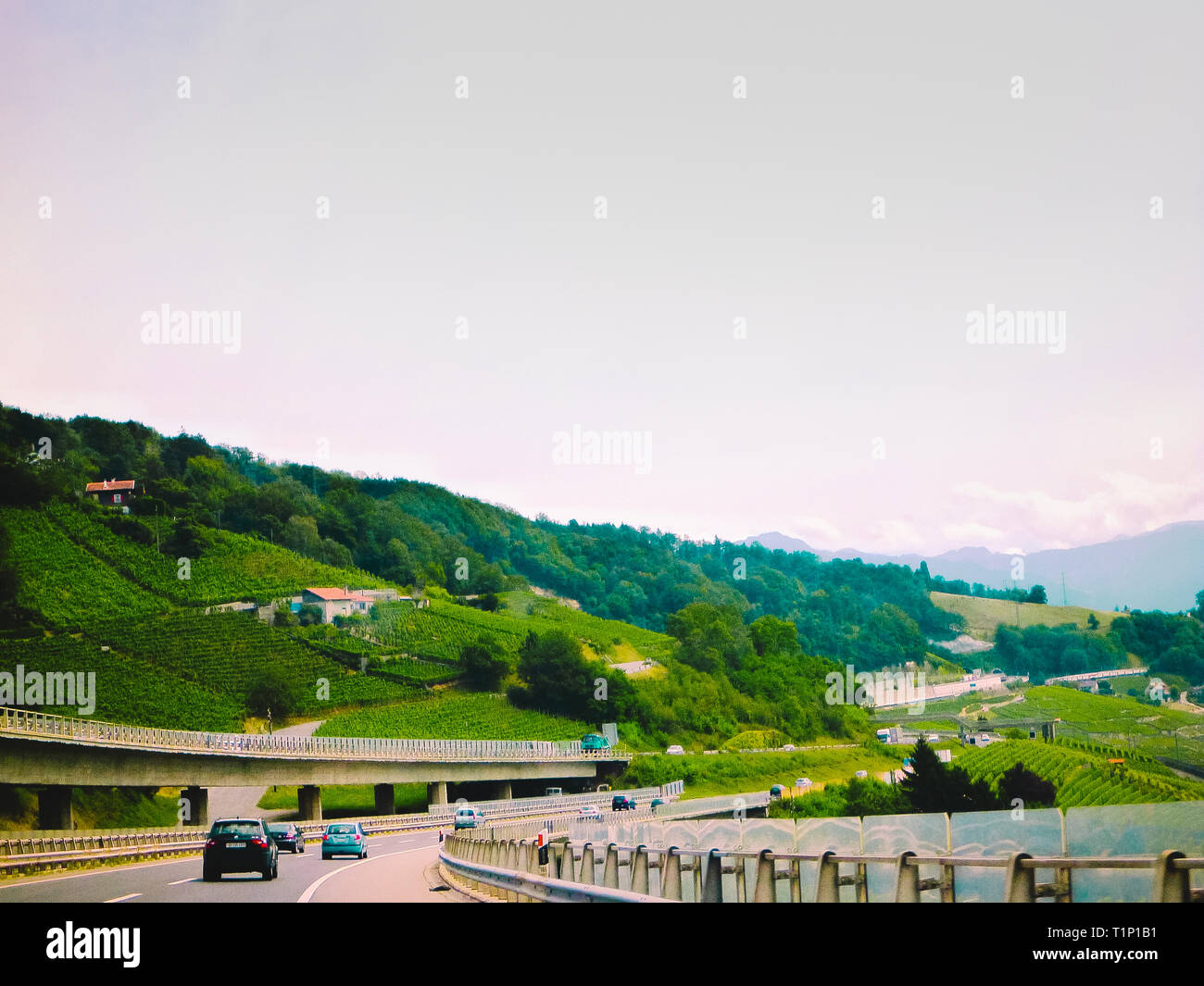 La autopista entre las vides en Suiza. Paisaje de verano Foto de stock