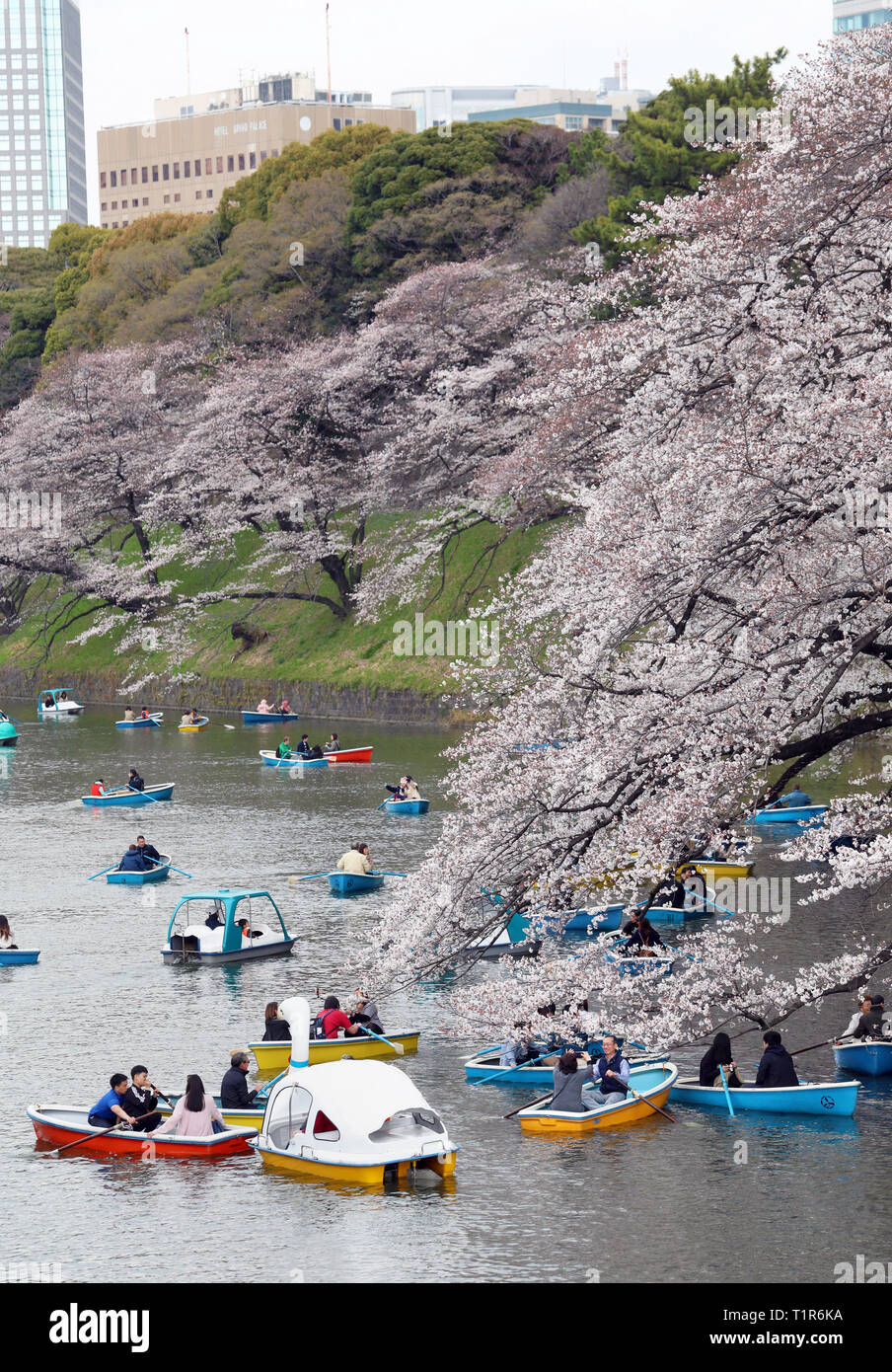 Tokio, Japón. El 28 de marzo de 2019. Los lugareños y turistas disfrutan de los Cerezos conocido como Sakura en embarcaciones a Chidorigafuchi Park en el foso del Palacio Imperial de Tokio, Japón. Viendo la flor de cerezo o Sakura, se ha convertido en algo de un pasado nacional-tiempo para el japonés, y es un gran atractivo para los turistas. Sólo duran unas dos semanas, asegura que los más populares áreas de visualización siempre están empacados y tomar un paseo en barco por el foso del castillo es una de las maneras más populares de ver las flores. Crédito: Paul Brown/Alamy Live News Foto de stock