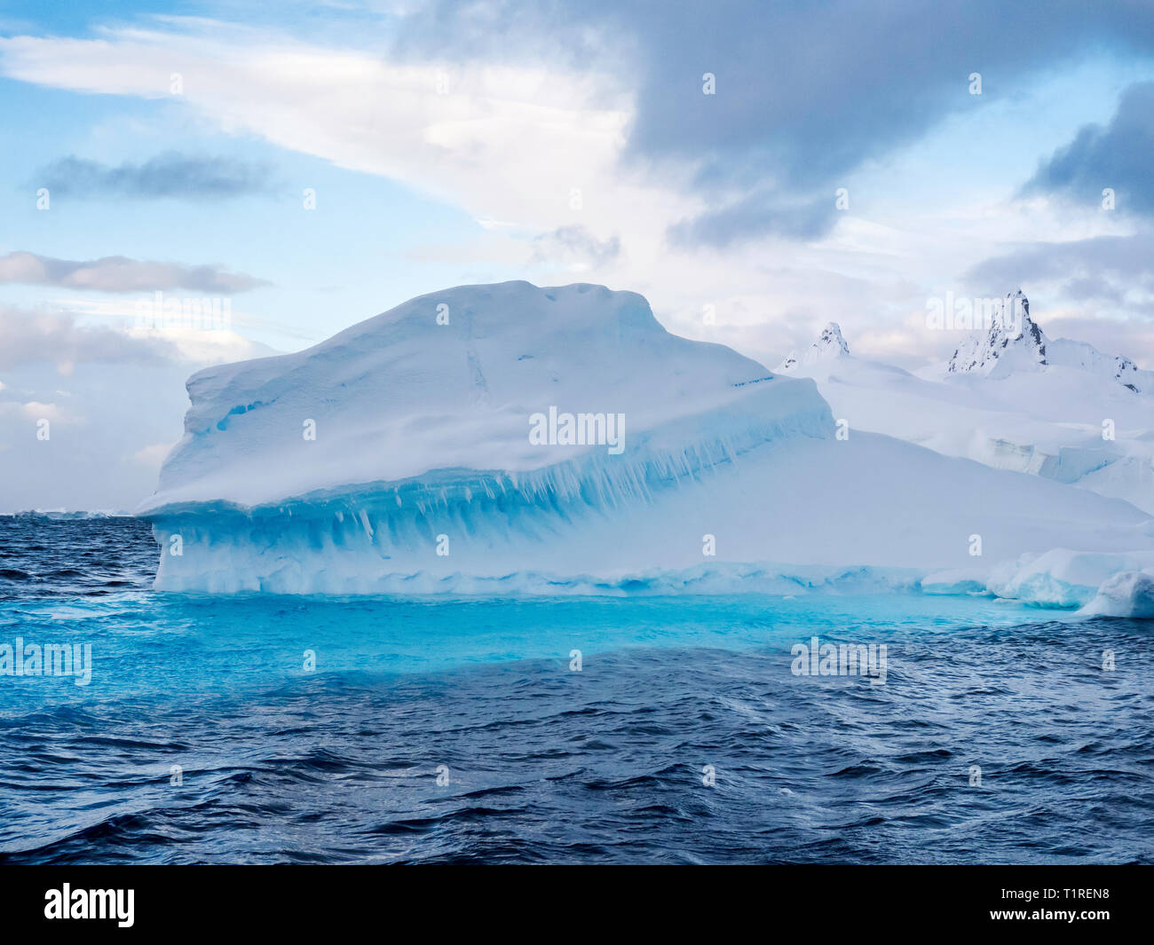 El mar de hielo, Wilhamena Bay, en la Antártida Foto de stock