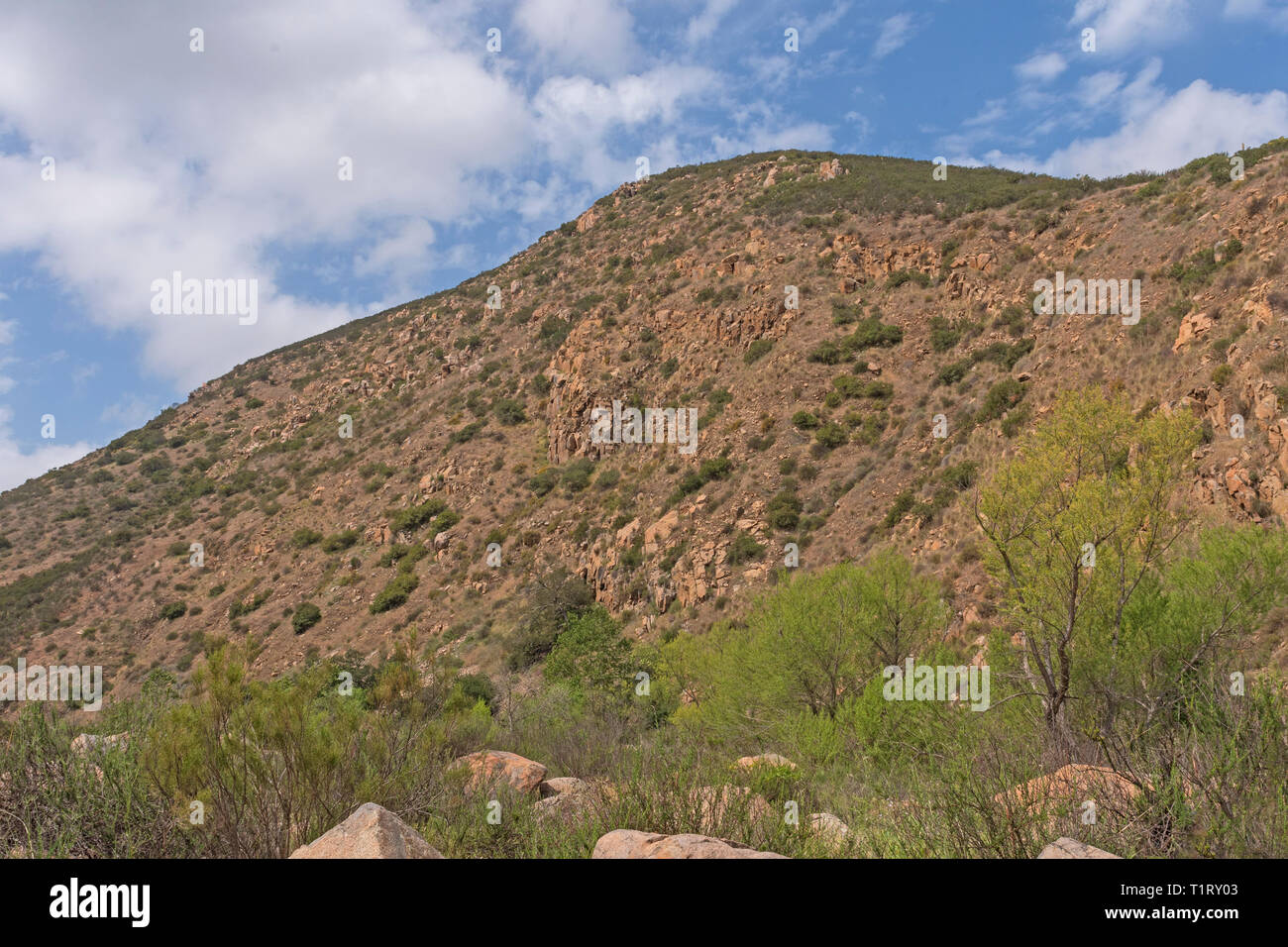 Las montañas áridas en Mission Trails Regional Park en San Diego Foto de stock