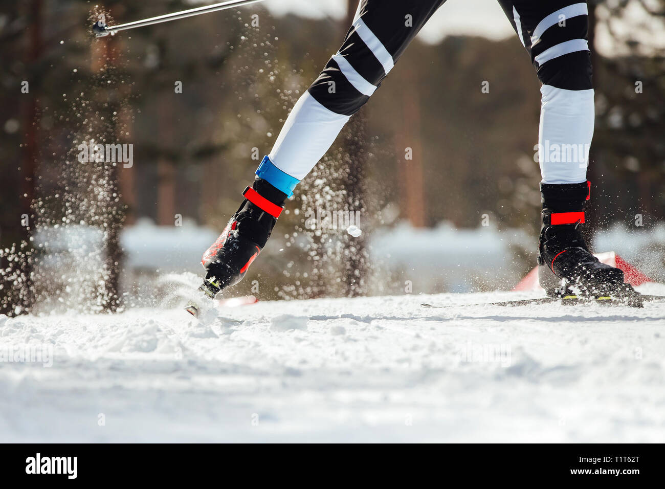 Carrera de esquí cross-country piernas hombre atleta esquiador Foto de stock