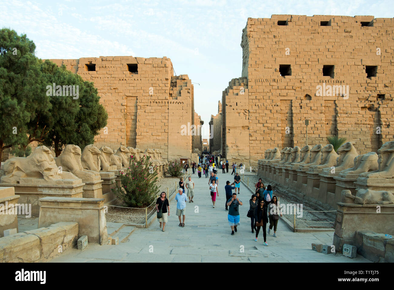 Ägypten, Luxor, Karnak-Tempel, vor dem Widdersphingen Torbau des ersten pilones, westlicher Eingang zur Tempelanlage Foto de stock