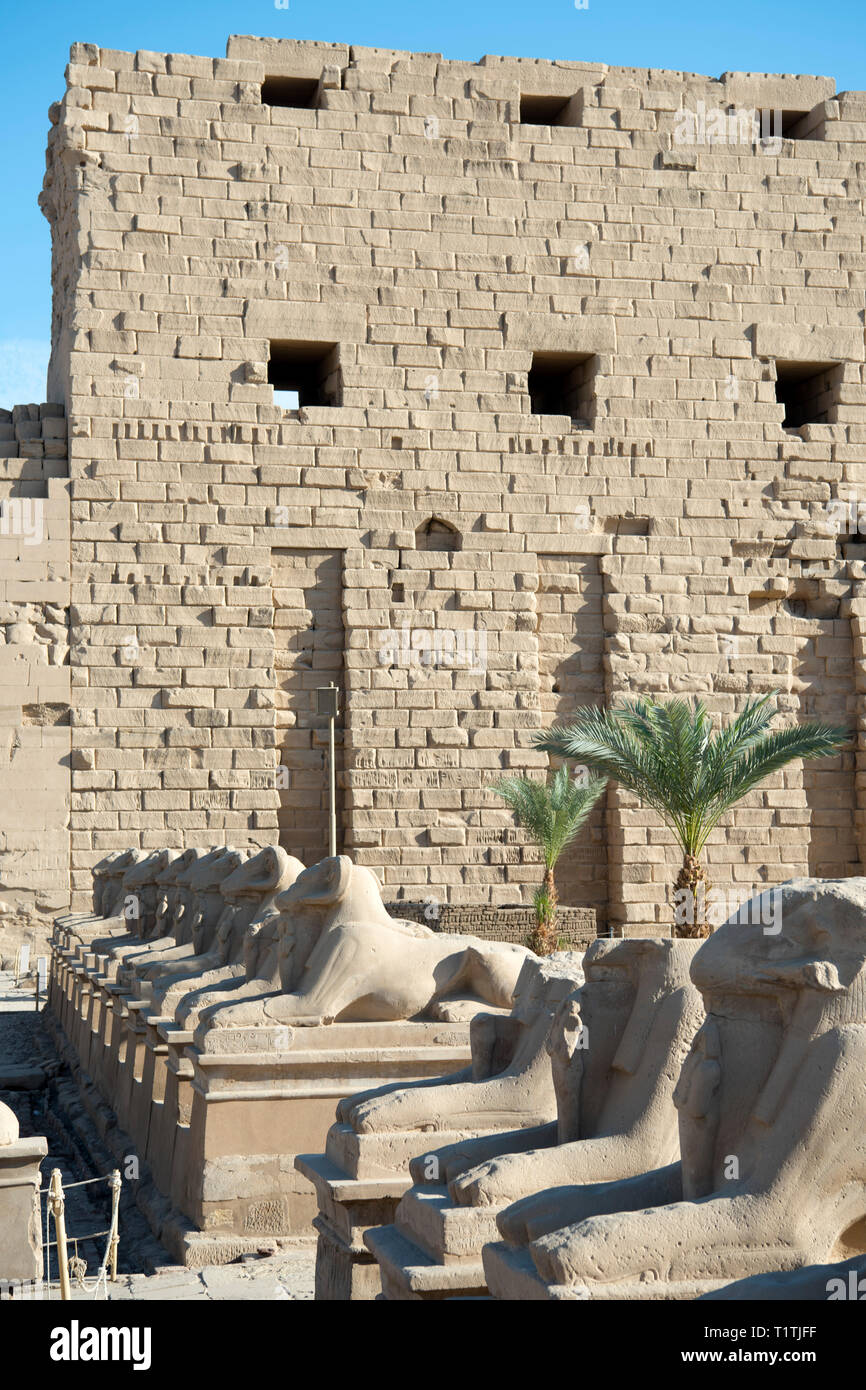 Ägypten, Luxor, Karnak-Tempel, vor dem Widdersphingen Torbau des ersten pilones, westlicher Eingang zur Tempelanlage Foto de stock