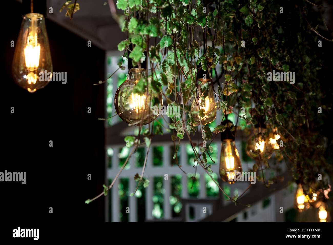 https www alamy es diseno de lamparas vintage de color amarillo y hojas verdes tropicales retro hermosa lampara luces de guirnaldas con luces de colores sobre fondo negro image242106055 html